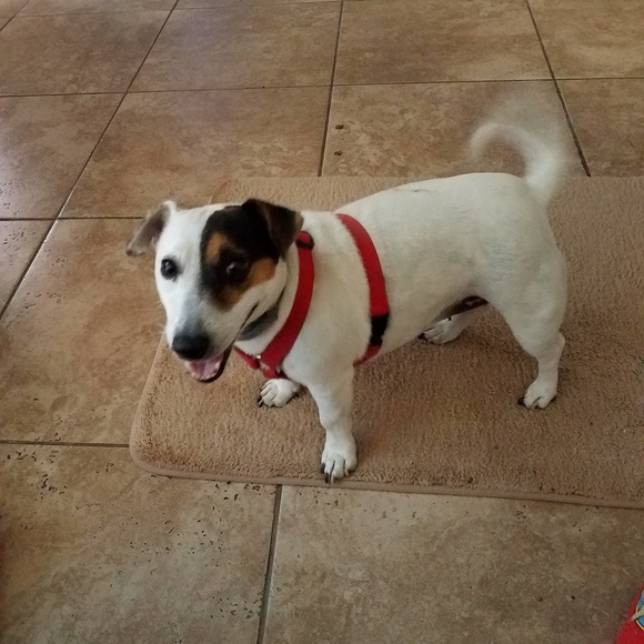 Meet your Posher, Chris - Picture 7 of 12